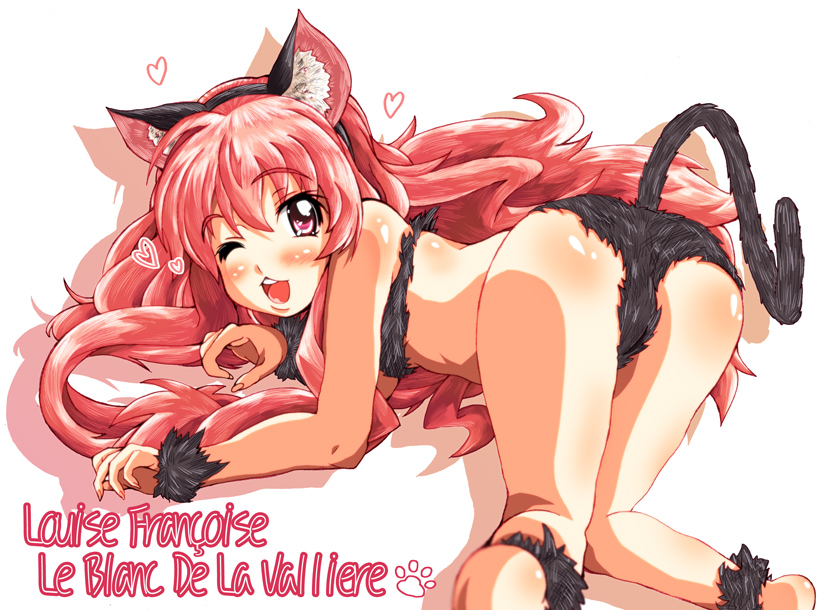 louise francoise le blanc de la valliere (zero no tsukaima) drawn by bad_moon