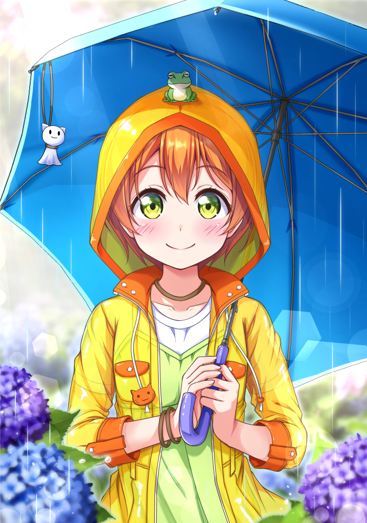 hoshizora rin (love live! and 2 more) drawn by harunabe_(refresh_star)