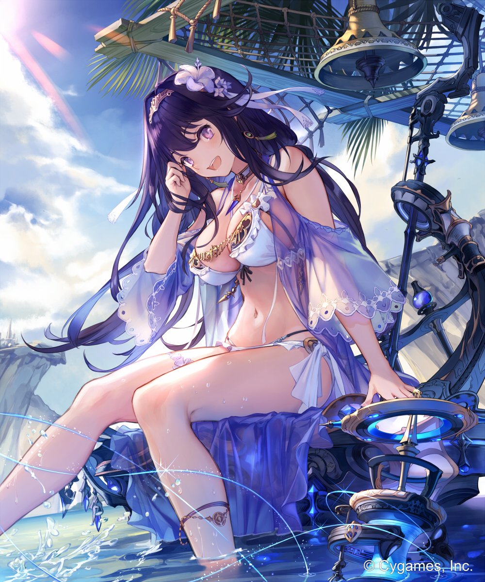 Shingeki No Bahamut And 1 More Drawn By U Jie Danbooru