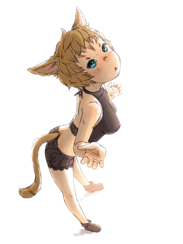 warrior of light (final fantasy and 1 more) drawn by nucomas