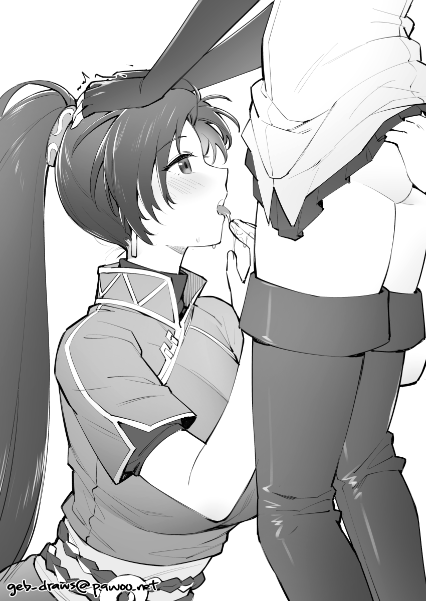 lyn and florina (fire emblem and 1 more) drawn by ge-b