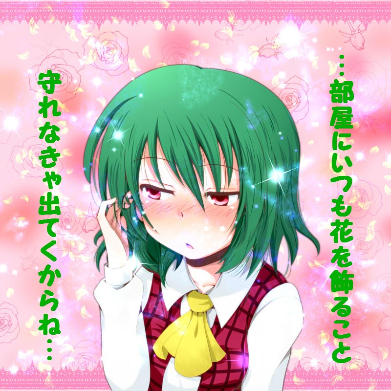 kazami yuuka (touhou) drawn by chata_maru_(irori_sabou)