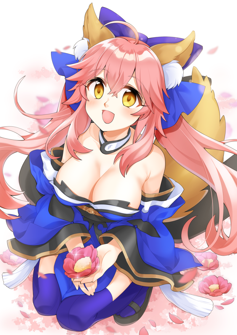 tamamo and tamamo no mae (fate and 4 more) drawn by nonori_ng
