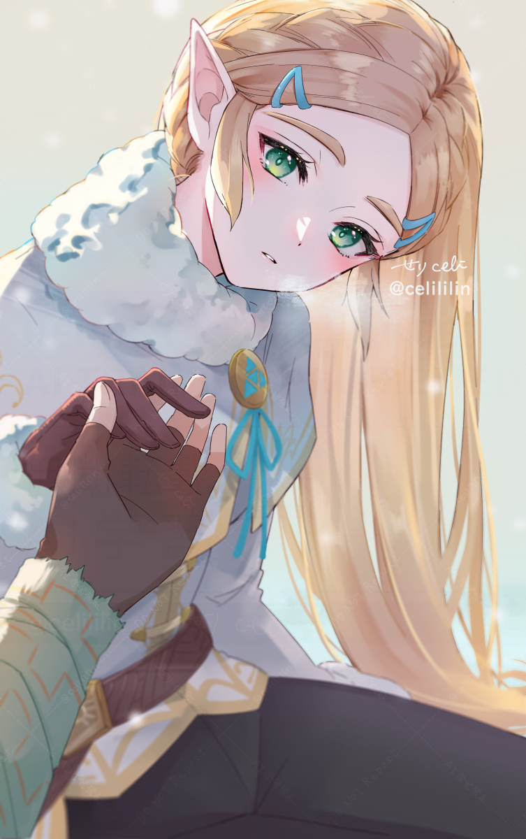 link and princess zelda (the legend of zelda and 1 more) drawn by seri_(yuukasakura)