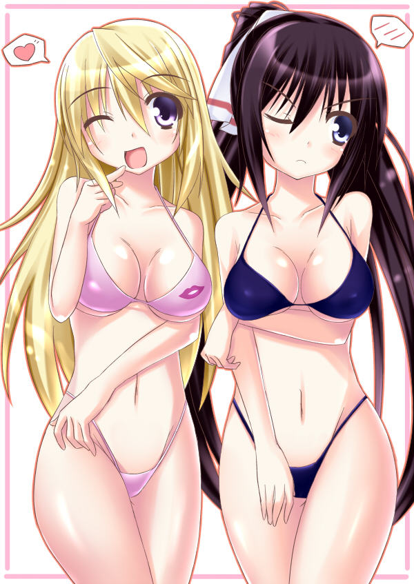 charlotte dunois and shinonono houki (infinite stratos) drawn by aosi_(wasabiranzy)