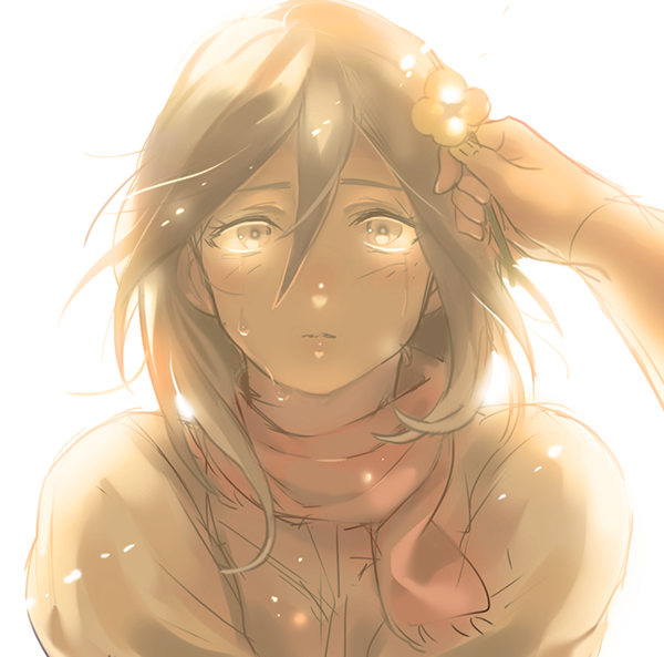 mikasa ackerman (shingeki no kyojin) drawn by yamadi_(tokozure19)