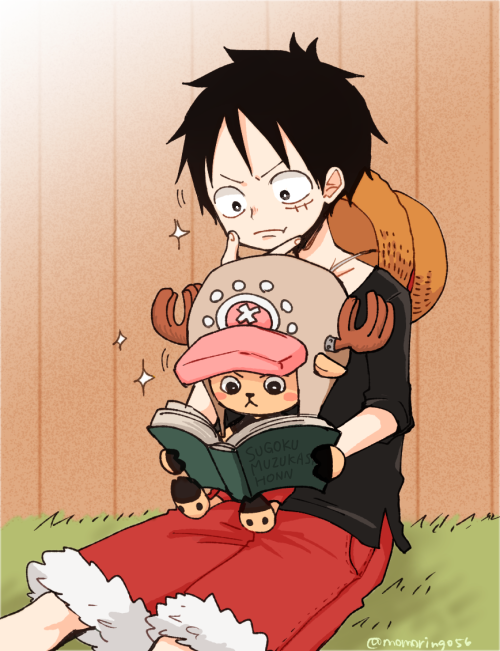 monkey d. luffy and tony tony chopper (one piece) drawn by pokesumomo