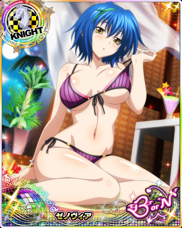 xenovia quarta (high school dxd and 1 more)