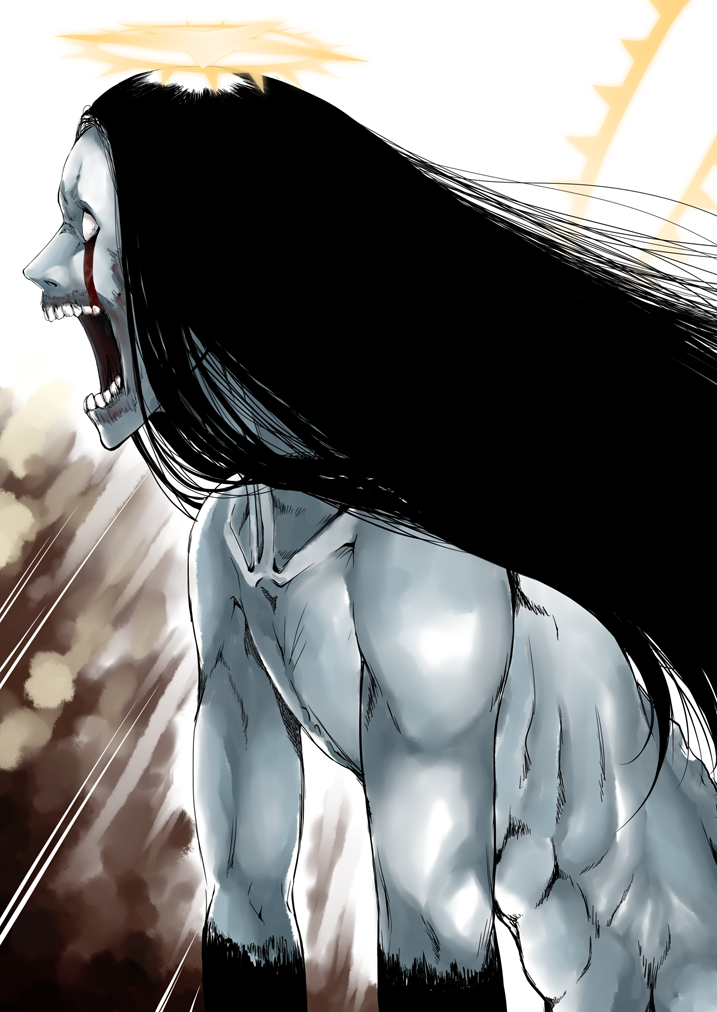 as nodt (bleach and 1 more) drawn by sapphire_satou