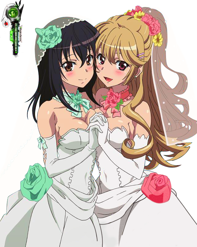 himeragi yukina and aiba asagi (strike the blood) drawn by ors_anime_renders