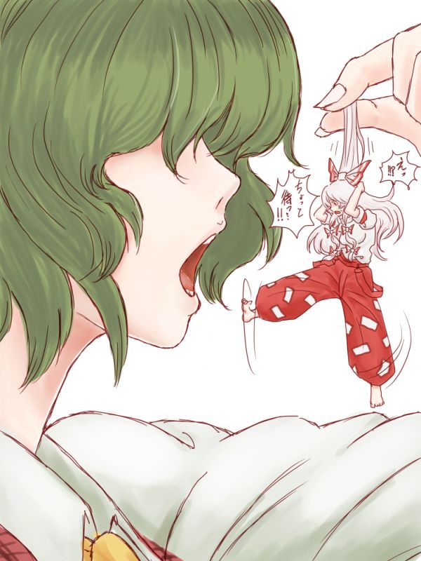 fujiwara no mokou and kazami yuuka (touhou) drawn by utopia_(utopiavl)