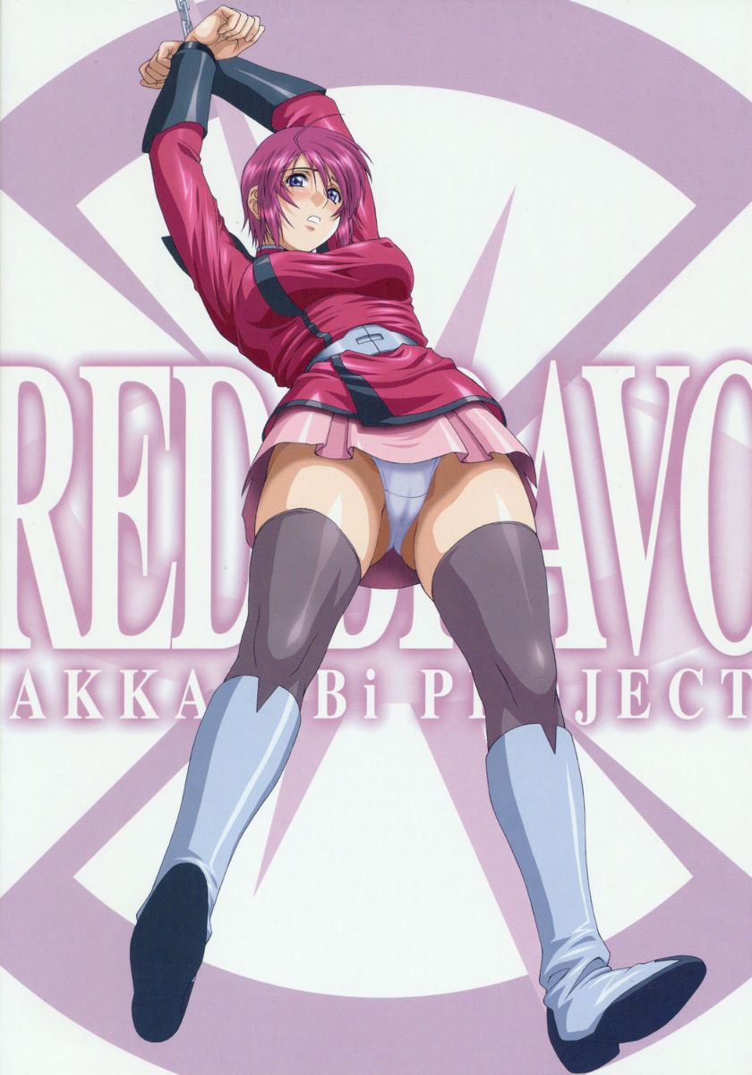 lunamaria hawke (gundam and 2 more) drawn by yanagi_hirohiko