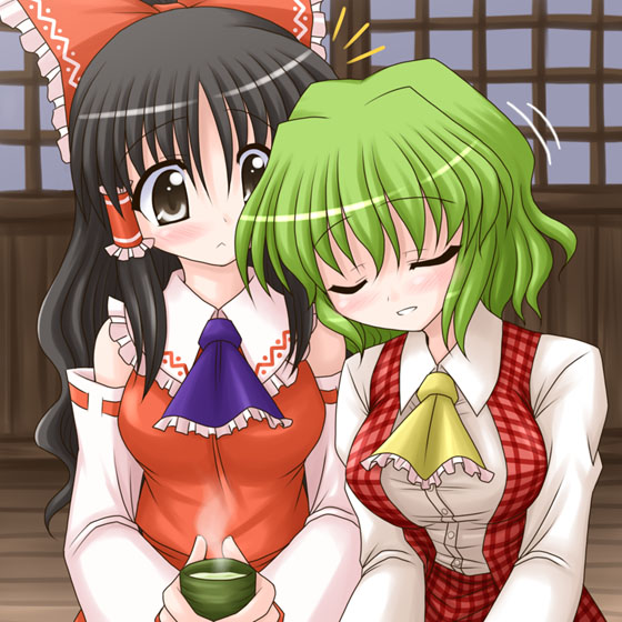 hakurei reimu and kazami yuuka (touhou) drawn by bococho