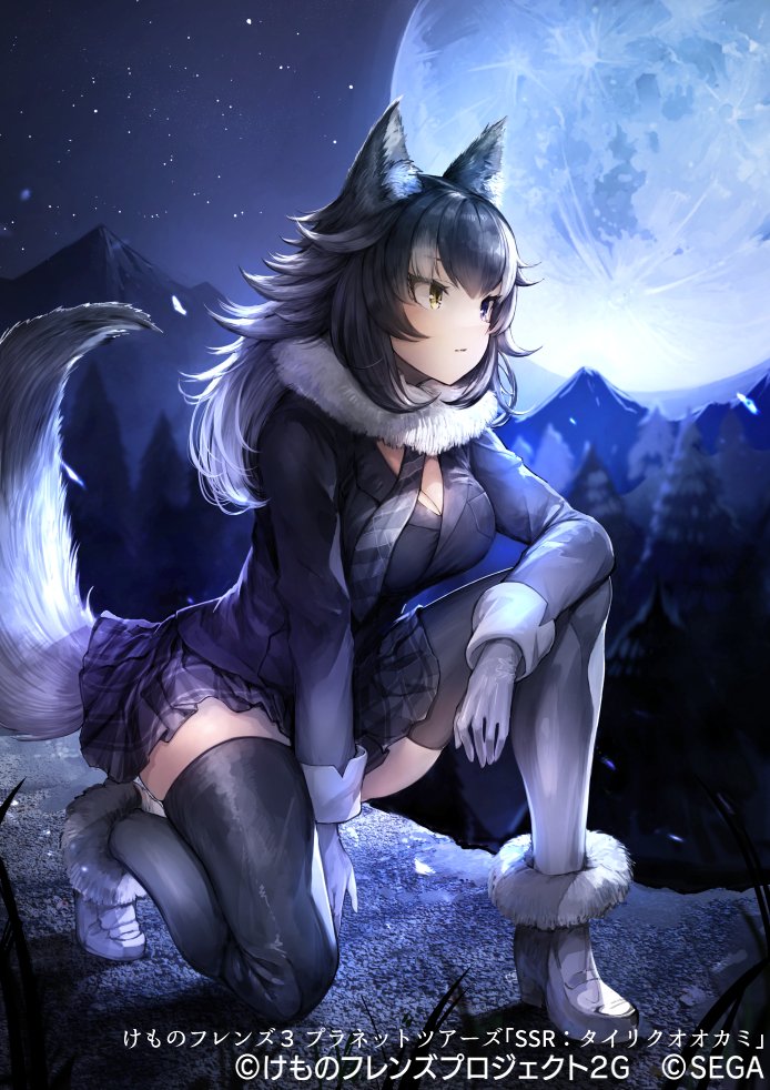 grey wolf (kemono friends and 1 more) drawn by koruse