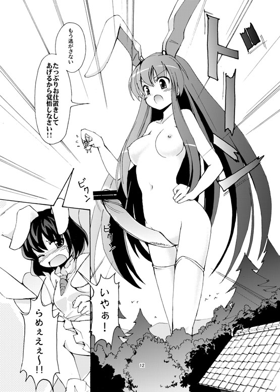 reisen udongein inaba and inaba tewi (touhou) drawn by seo_tatsuya