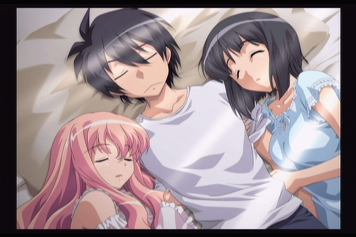 louise francoise le blanc de la valliere, siesta, and hiraga saito (zero no tsukaima)
