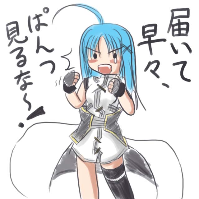 reinforce zwei (lyrical nanoha and 1 more) drawn by takimoto_hatayama