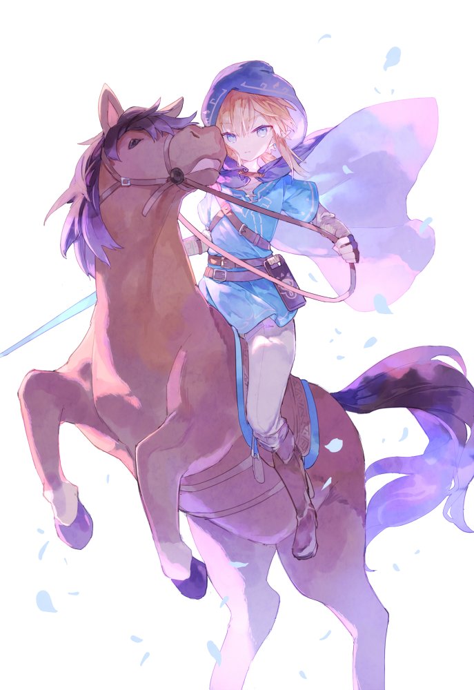 link (the legend of zelda and 1 more) drawn by mizumizu_(phoenix)