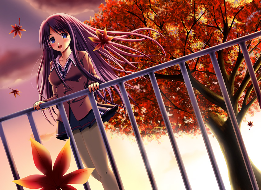 original drawn by tanuki_(sunagoryuuta)
