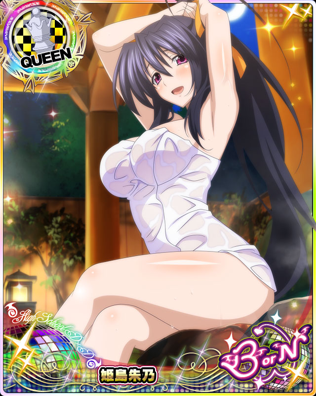 himejima akeno (high school dxd and 1 more)