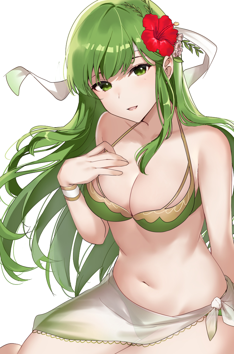 palla (fire emblem and 1 more) drawn by haru_(nakajou-28)