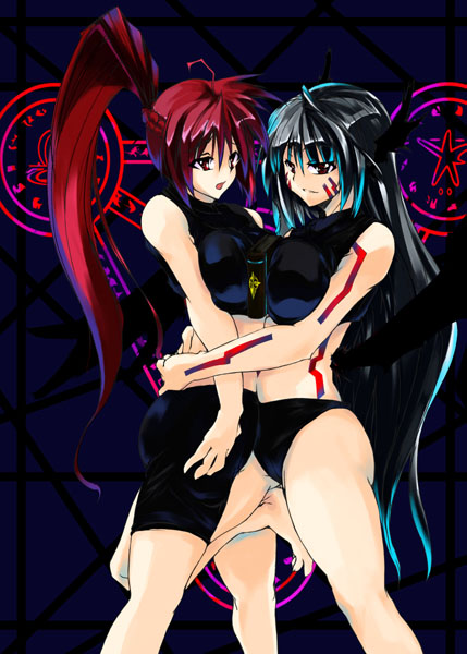 signum and reinforce (lyrical nanoha and 2 more)