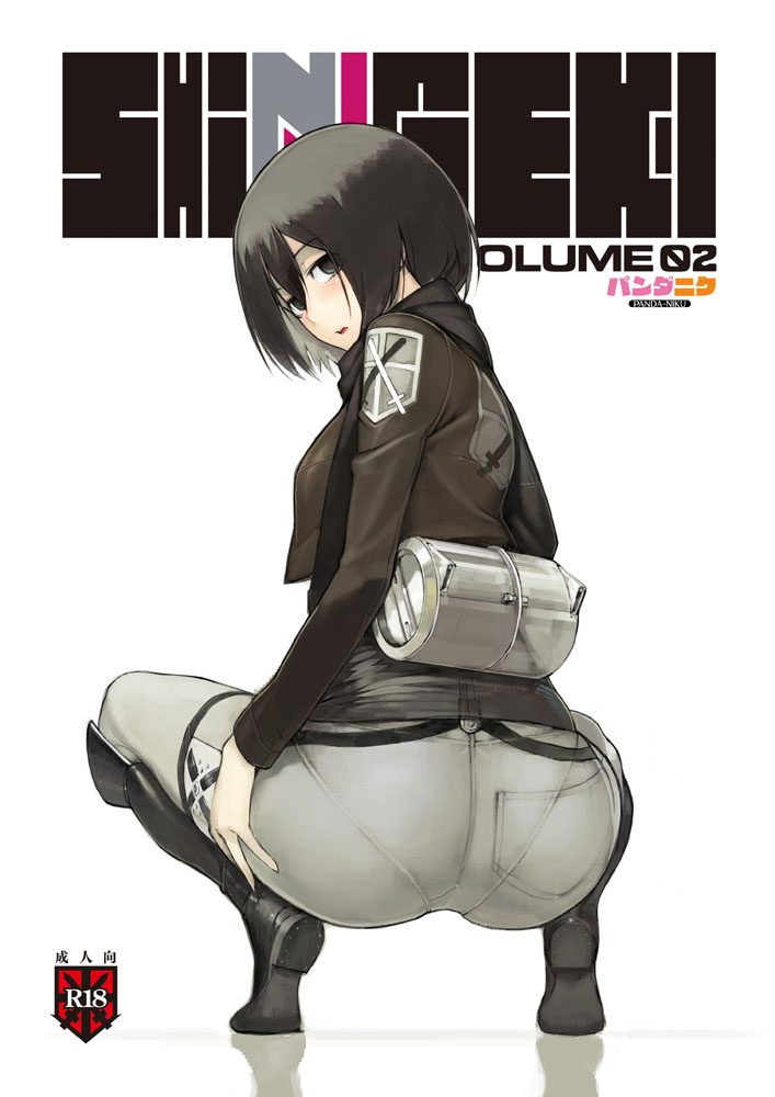 mikasa ackerman (shingeki no kyojin) drawn by namaniku_atk