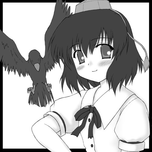 shameimaru aya (touhou) drawn by kotowari_(newtype_kenkyuujo)