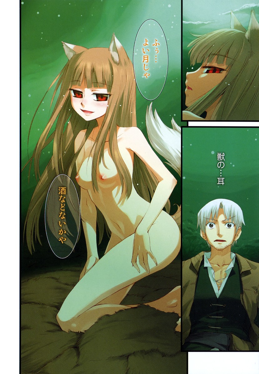 holo and craft lawrence (spice and wolf) drawn by koume_keito
