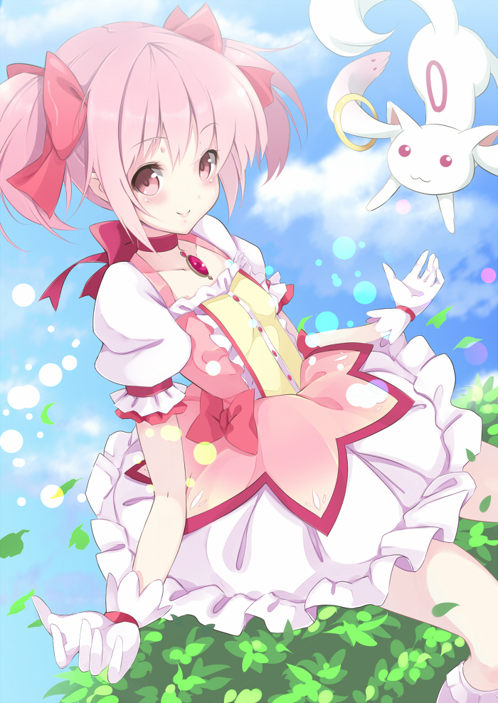 kaname madoka and kyubey (mahou shoujo madoka magica) drawn by kujou_ichiso