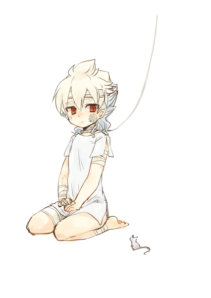 hakuryuu (inazuma eleven and 1 more) drawn by tobi_(one)