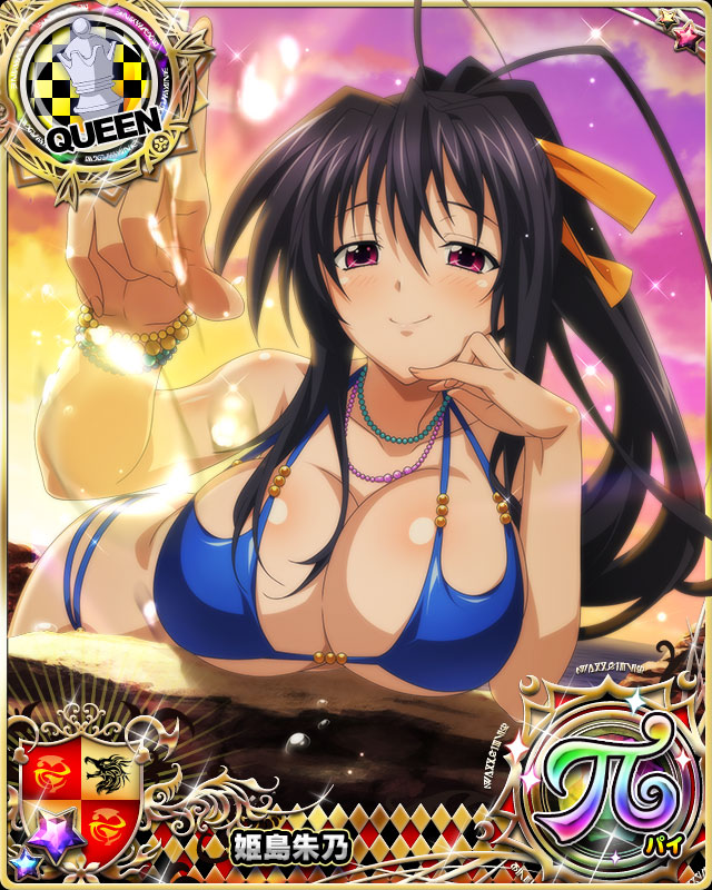 himejima akeno (high school dxd and 1 more)