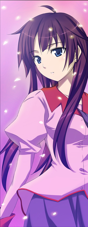 senjougahara hitagi (monogatari and 1 more) drawn by ribucci