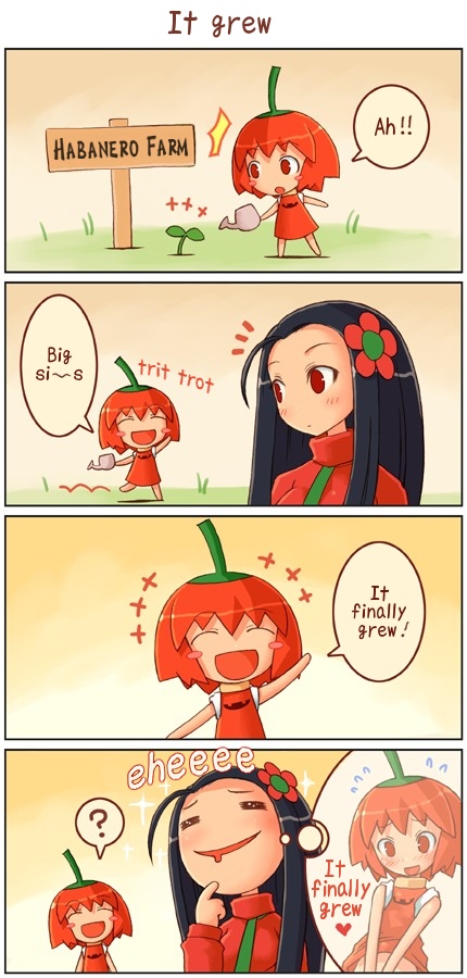 habanero-tan and habanero-neesan (boukun habanero) drawn by shigatake