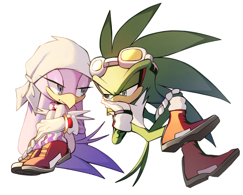 wave the swallow and jet the hawk (sonic and 1 more) drawn by theadamay1