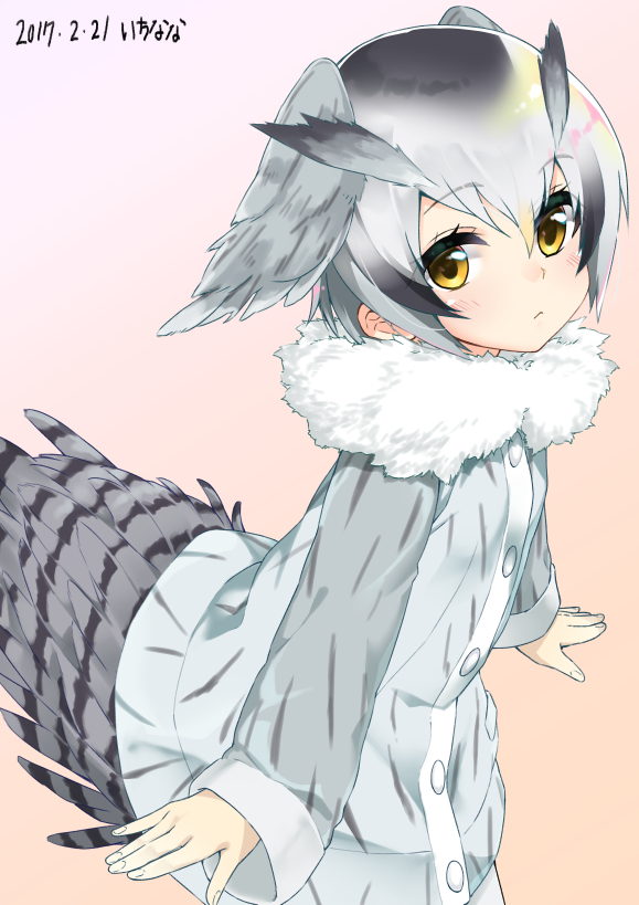 northern white-faced owl (kemono friends) drawn by itinana