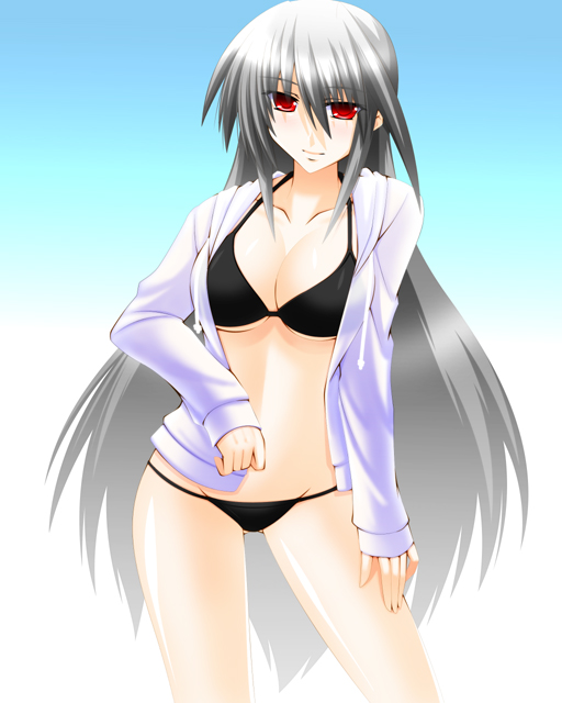 reinforce (lyrical nanoha and 2 more) drawn by engo_(aquawatery)