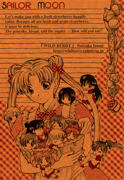 tsukino usagi, mizuno ami, aino minako, hino rei, kino makoto, and 6 more (bishoujo senshi sailor moon and 1 more) drawn by izumi_natsuka