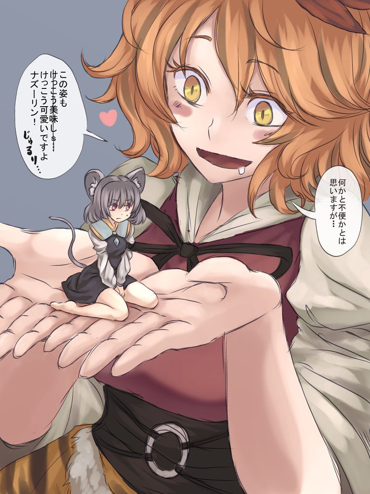 nazrin and toramaru shou (touhou) drawn by utopia_(utopiavl)