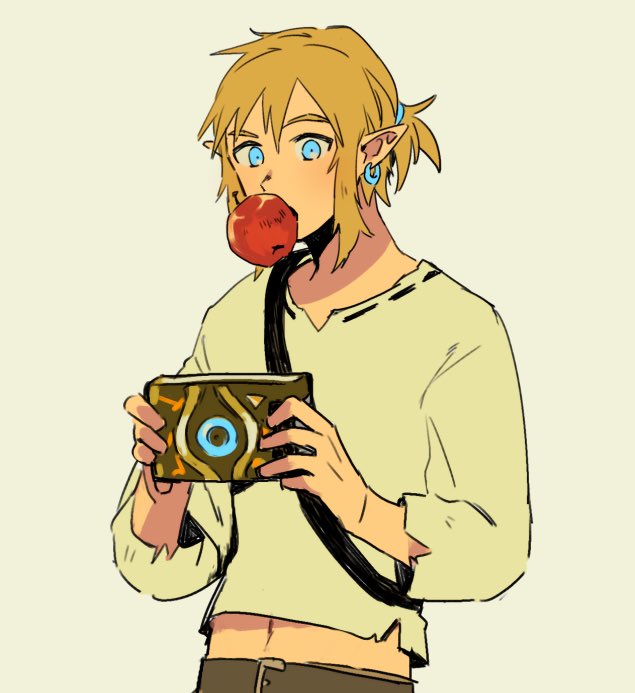 link (the legend of zelda and 1 more) drawn by panco500