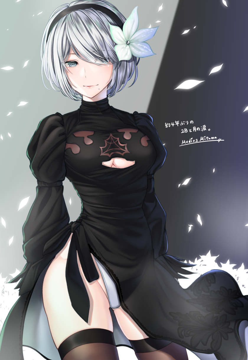 2b (nier and 1 more) drawn by mitama_mudimudi