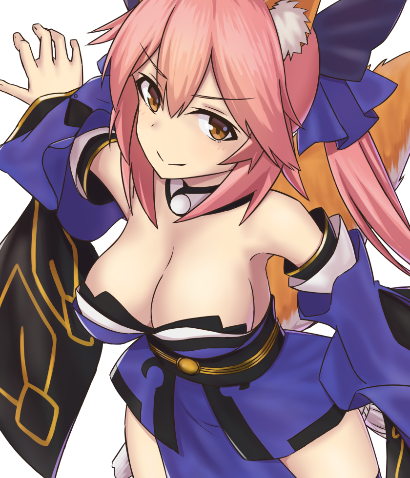 tamamo and tamamo no mae (fate and 1 more) drawn by elfenlied22