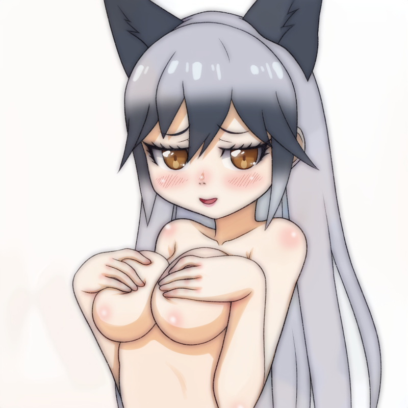 silver fox (kemono friends) drawn by t_jiroo_(ringofriend)