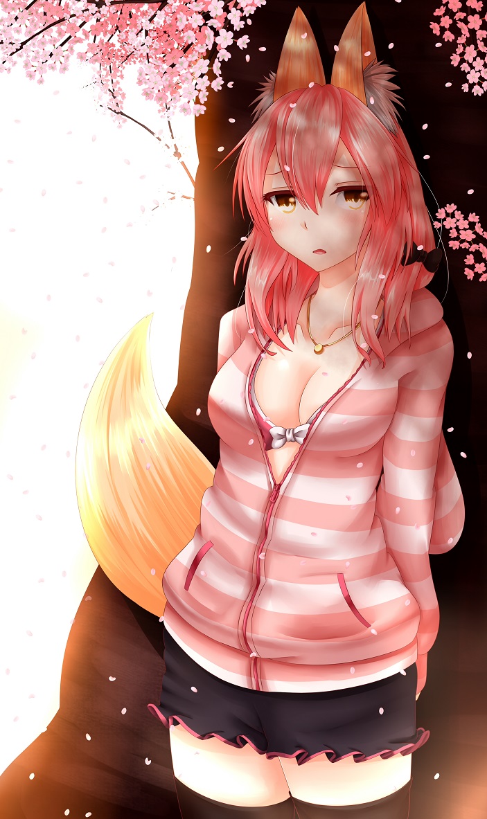 tamamo and tamamo no mae (fate and 2 more) drawn by totororo