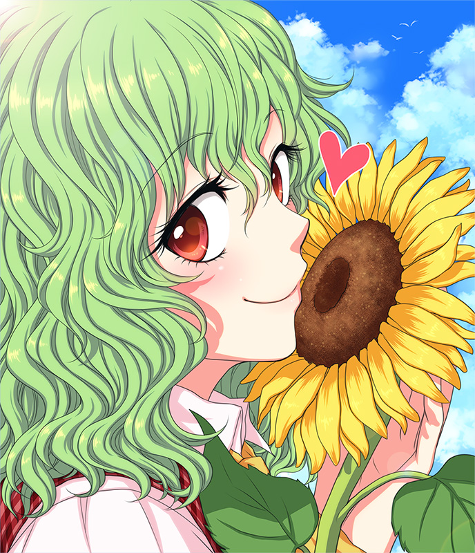 kazami yuuka (touhou) drawn by mokku
