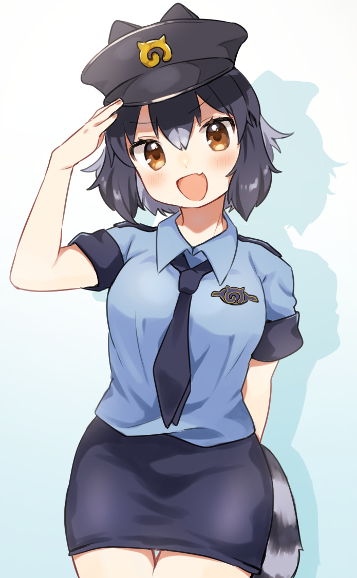 common raccoon (kemono friends) drawn by suicchonsuisui