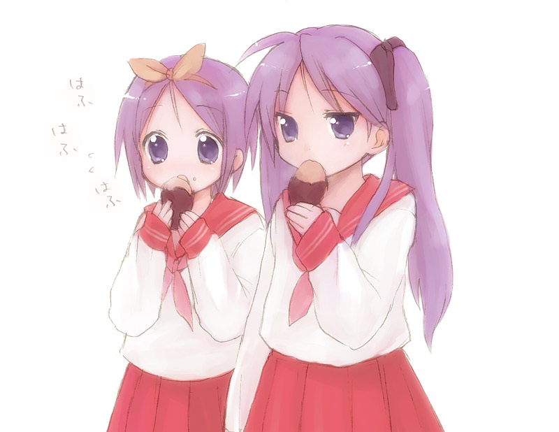 hiiragi kagami and hiiragi tsukasa (lucky star) drawn by usashiro_mani