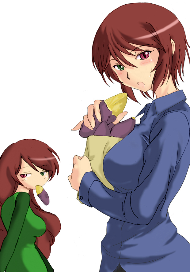 suiseiseki and souseiseki (rozen maiden) drawn by tsuda_nanafushi