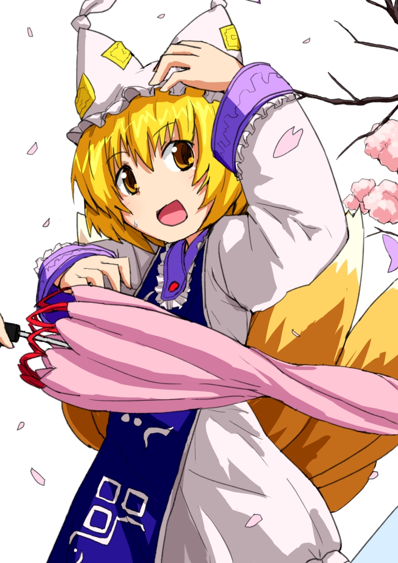 yakumo yukari and yakumo ran (touhou) drawn by dai-erie