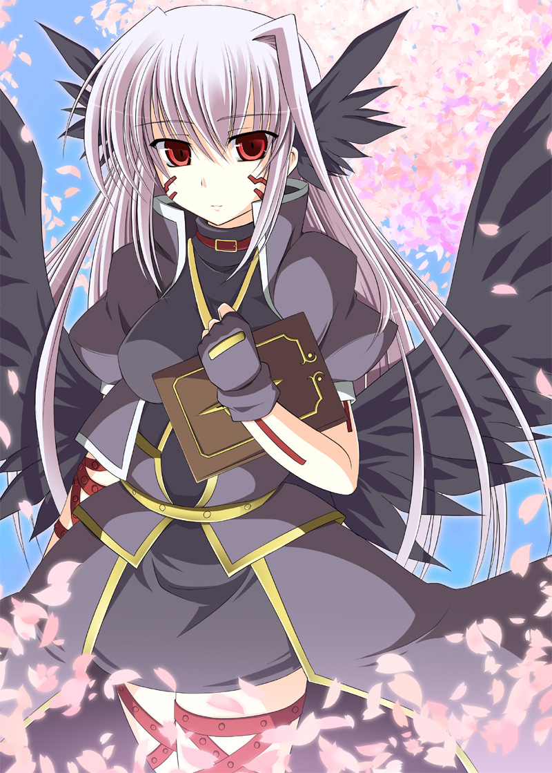 reinforce and tome of the night sky (lyrical nanoha and 2 more) drawn by nagami_yuu